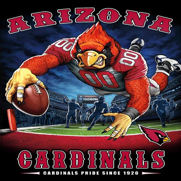 TS007 Arizona Cardinals 